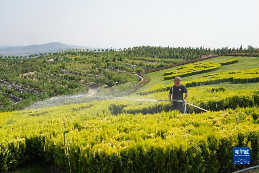 （新華全媒頭條·聚焦生物多樣性大會(huì)·圖文互動(dòng)）（3）攜手同行，開(kāi)啟人類(lèi)高質(zhì)量發(fā)展新征程——習(xí)近平主席在《生物多樣性公約》第十五次締約方大會(huì)領(lǐng)導(dǎo)人峰會(huì)上的主旨講話(huà)解讀